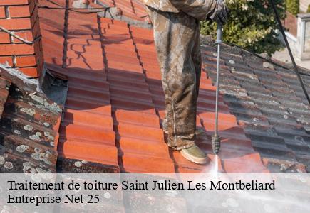 Traitement de toiture  saint-julien-les-montbeliard-25550 Entreprise Net 25 