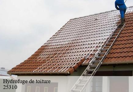 Hydrofuge de toiture  abbevillers-25310 Entreprise Net 25 