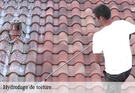 Hydrofuge de toiture  accolans-25250 Entreprise Net 25 