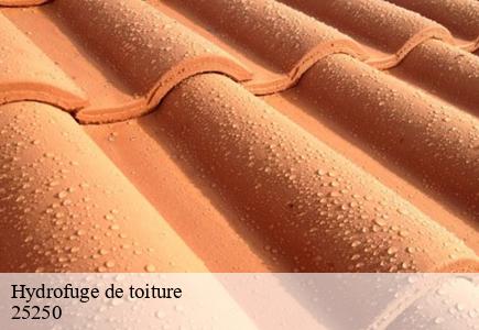 Hydrofuge de toiture  accolans-25250 Entreprise Net 25 