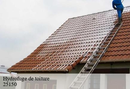 Hydrofuge de toiture  autechaux-roide-25150 Entreprise Net 25 