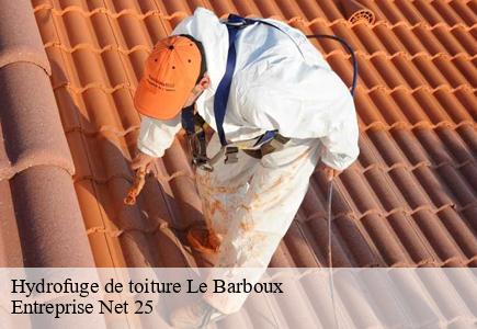 Hydrofuge de toiture  le-barboux-25210 Entreprise Net 25 