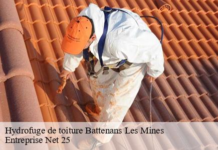 Hydrofuge de toiture  battenans-les-mines-25640 Entreprise Net 25 