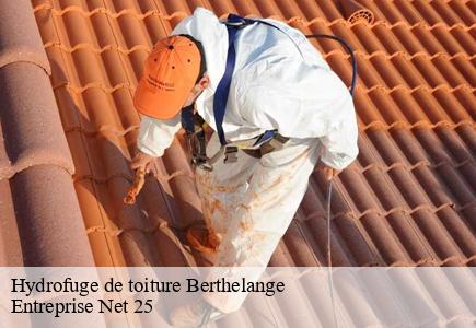 Hydrofuge de toiture  berthelange-25410 Entreprise Net 25 