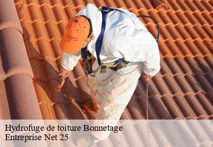 Hydrofuge de toiture  bonnetage-25210 Entreprise Net 25 