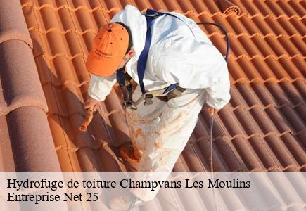 Hydrofuge de toiture  champvans-les-moulins-25170 Entreprise Net 25 