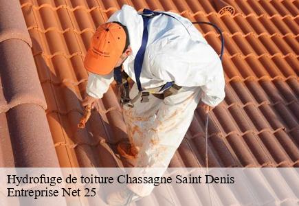 Hydrofuge de toiture  chassagne-saint-denis-25290 Entreprise Net 25 