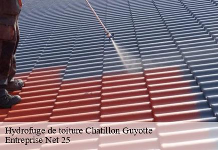 Hydrofuge de toiture  chatillon-guyotte-25640 Entreprise Net 25 