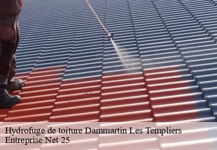 Hydrofuge de toiture  dammartin-les-templiers-25110 Entreprise Net 25 