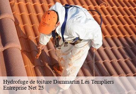 Hydrofuge de toiture  dammartin-les-templiers-25110 Entreprise Net 25 