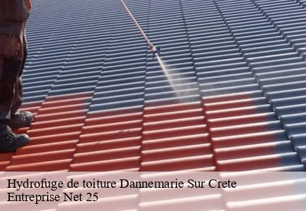 Hydrofuge de toiture  dannemarie-sur-crete-25410 Entreprise Net 25 