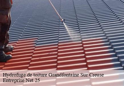 Hydrofuge de toiture  grandfontaine-sur-creuse-25510 Entreprise Net 25 