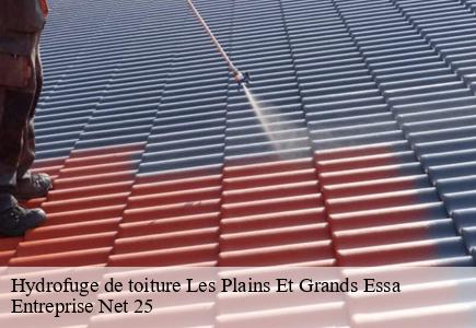 Hydrofuge de toiture  les-plains-et-grands-essa-25470 Entreprise Net 25 