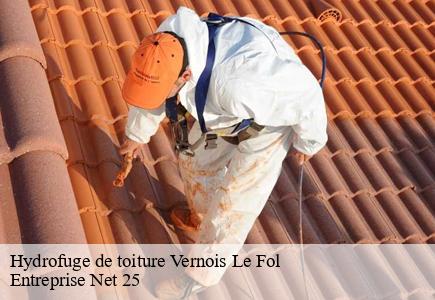 Hydrofuge de toiture  vernois-le-fol-25190 Entreprise Net 25 