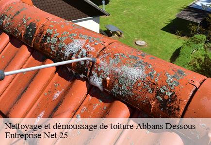 Nettoyage et démoussage de toiture  abbans-dessous-25320 Entreprise Net 25 