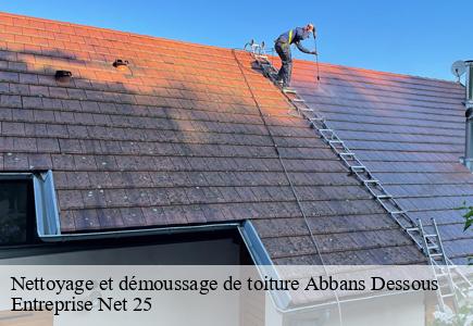 Nettoyage et démoussage de toiture  abbans-dessous-25320 Entreprise Net 25 