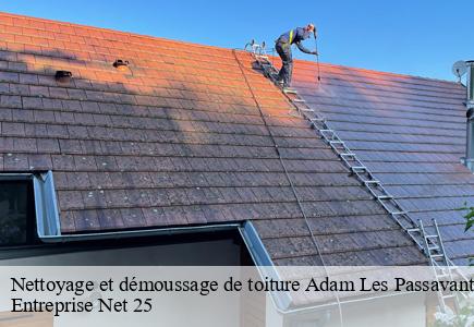 Nettoyage et démoussage de toiture  adam-les-passavant-25360 Entreprise Net 25 