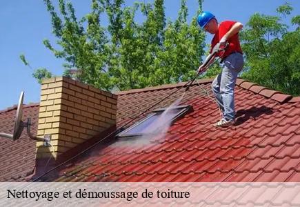 Nettoyage et démoussage de toiture  adam-les-passavant-25360 Entreprise Net 25 