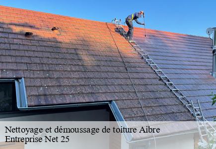 Nettoyage et démoussage de toiture  aibre-25750 Entreprise Net 25 