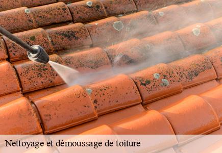 Nettoyage et démoussage de toiture  amathay-vesigneux-25330 Entreprise Net 25 