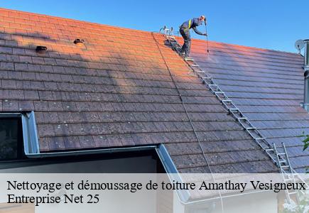 Nettoyage et démoussage de toiture  amathay-vesigneux-25330 Entreprise Net 25 