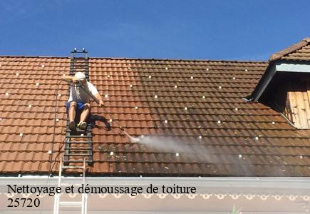 Nettoyage et démoussage de toiture  avanne-aveney-25720 Entreprise Net 25 