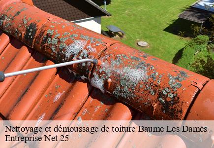 Nettoyage et démoussage de toiture  baume-les-dames-25110 Entreprise Net 25 