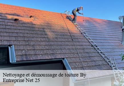 Nettoyage et démoussage de toiture  by-25440 Entreprise Net 25 