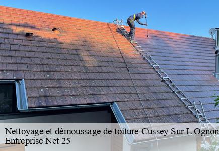 Nettoyage et démoussage de toiture  cussey-sur-l-ognon-25870 Entreprise Net 25 